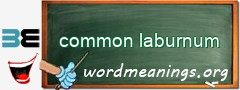 WordMeaning blackboard for common laburnum